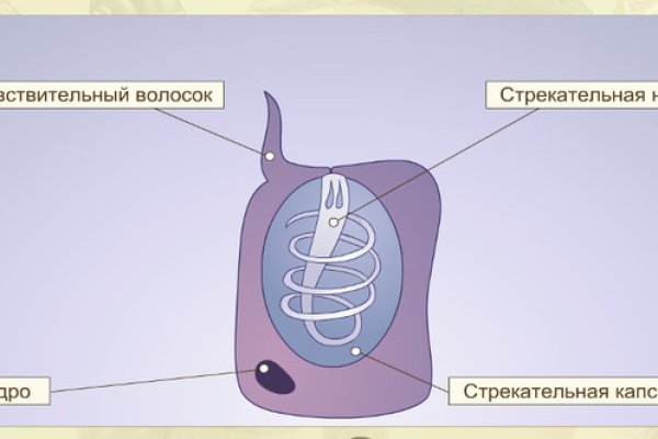 Не заходит на кракен