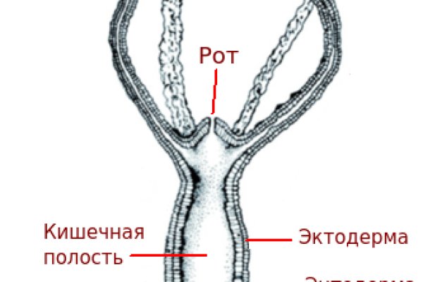 Ссылка официальный сайт кракен